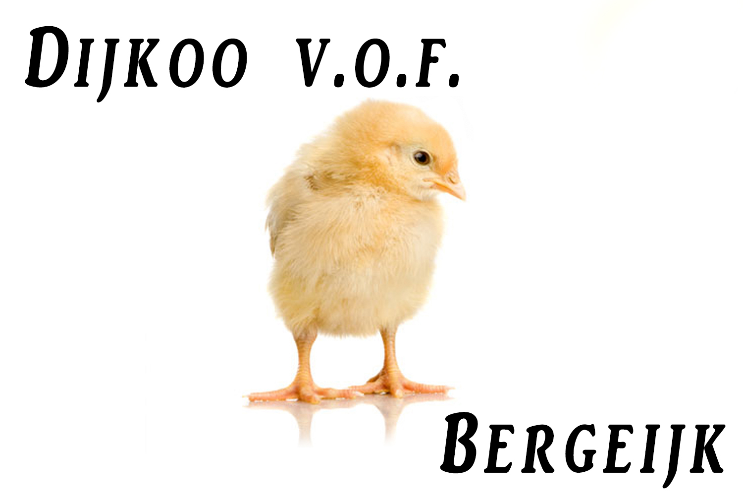 Dijkoo V.O.F Bergeijk